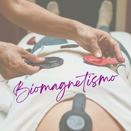 Cita Biomagnetismo